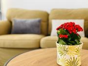 Church Hill Apartment