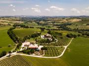 Top Cervidone