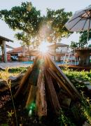 Top São Francisco do Sul