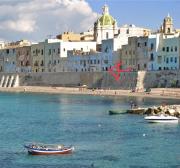 Top Trapani