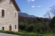 Top Venarotta