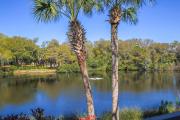 Top Kiawah Island