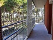 Top Cesenatico