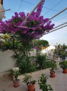 Top Makarska