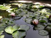 Top La Seyne-sur-Mer