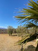 Oasis Montana peace in Tabernas Desert
