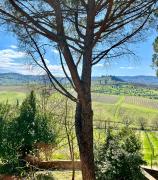Top Greve in Chianti