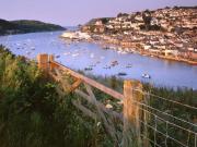 Top Salcombe