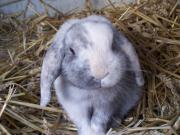 Top Belle-et-Houllefort