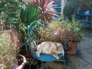 Top Saint-Aubin-sur-Mer