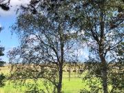 Strandhaus Jonathan 4 OG