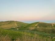 Top Bosco Fraccia