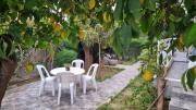 Elpida Lemon Garden House