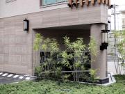 Top Hiroshima Top Hiroshima