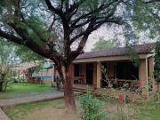 Top Sauraha