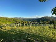Top Baden-Baden