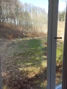 Dream apartment for a nice holiday with a bedroom and living room!