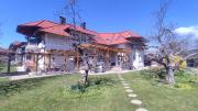 Top Lichtpold