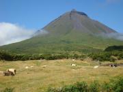 Top Lajes do Pico