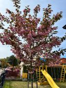 Top Władysławowo Top Władysławowo