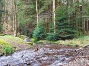 Top Raon-sur-Plaine