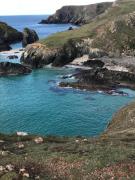 Top Mullion