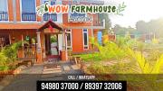 Top Auroville