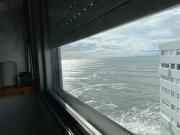 Top Mar del Plata