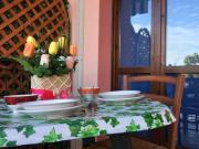 Top Rosolina Mare