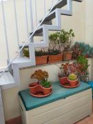 Top Alghero Top Alghero