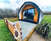 Beech Pod Cabin in beautiful surroundings Wrexham