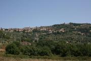 Top Cortona