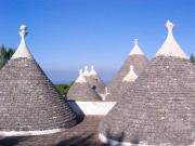 Top Fasano Top Fasano