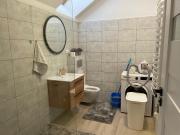 Top Brzóza Królewska