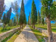 Top Sutivan Top Sutivan