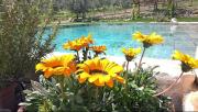 Villa Casaglia 3apartment With Shared Pool