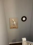 Southend Lane Suites