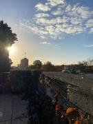 Top San Isidro