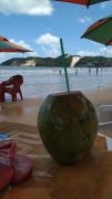 Top Natal