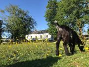 Top Saint-Philbert-des-Champs