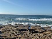 Seaside serenity : Modern Driftsands apartment