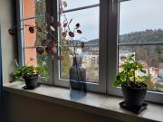 Top Krynica-Zdrój Top Krynica-Zdrój