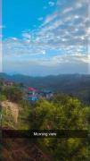 Top Kasauli