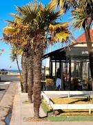 Top Mar del Plata