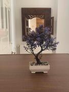 Kisamos Nice Apartment 3