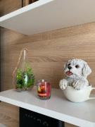 Top Bar