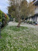 Top Savignano sul Rubicone