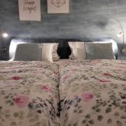 Top Lauda-Königshofen