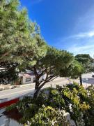 Joli studio Calvi 50m plage