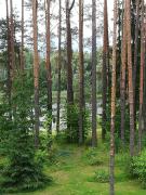 Sisaliku Puhkemaja saunaga